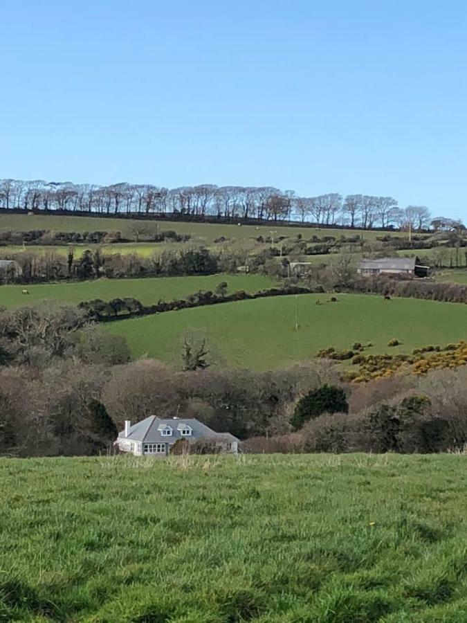The Annexe, Tregoose House New Quay Exterior foto